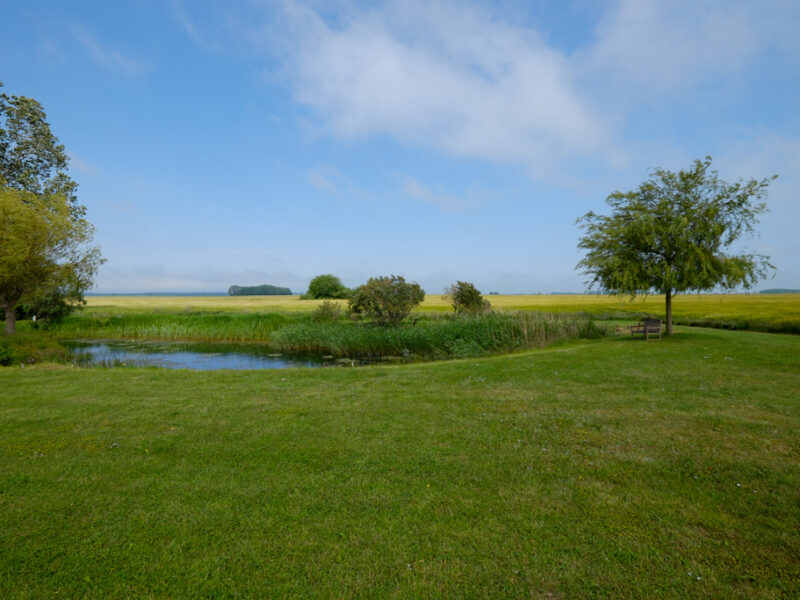 Blick über die Felder Richtung Kap Arkona