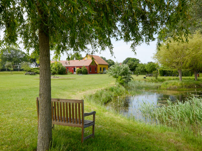 Blick über den Teich