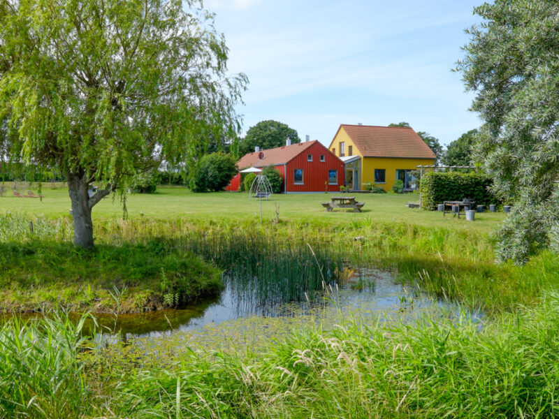 Garten mit Teich